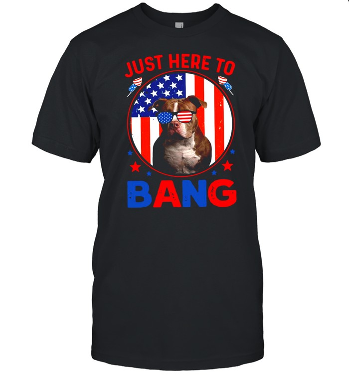 American Flag Just Here To Bang  Classic Men's T-shirt