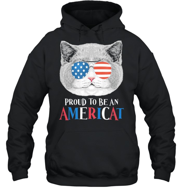 Independence day 4th July American Flag Cat USA shirt Unisex Hoodie