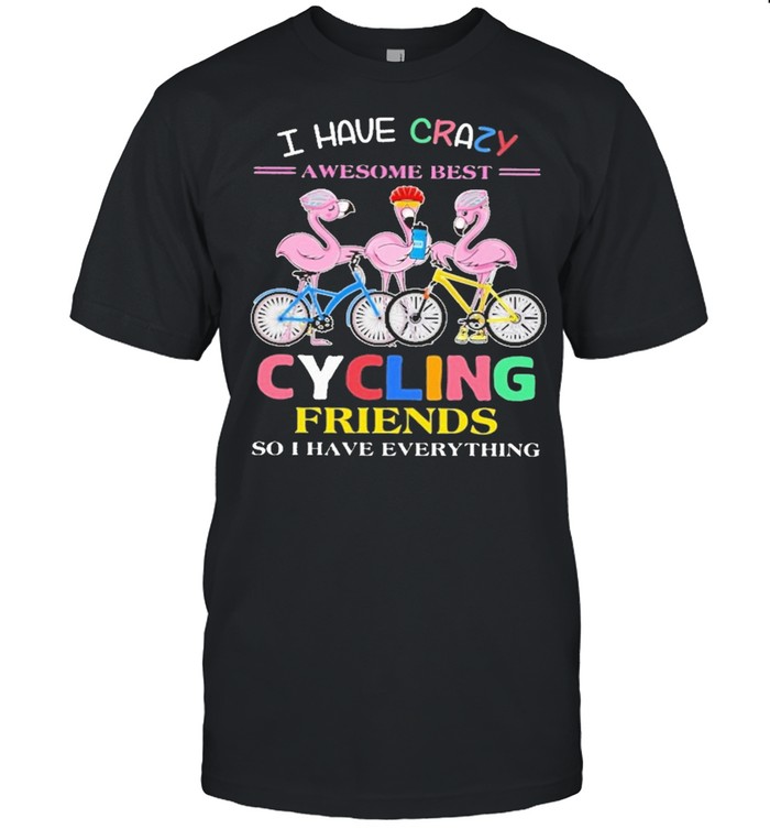 Flamingo I have crazy awesome best cycling friends so I have everything shirt Classic Men's T-shirt