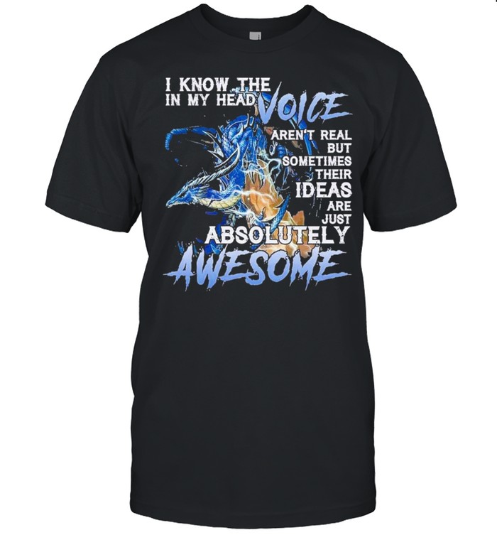 Dragon I know the in my head voice arent real but sometimes their ideas are just absolutely awesome shirt
