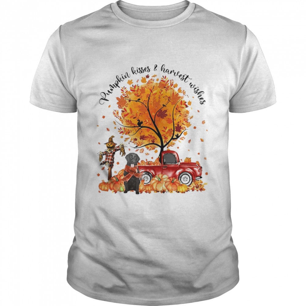 Flat Coated Pumpkin Kisses And Harvest Wishes Halloween T-shirt