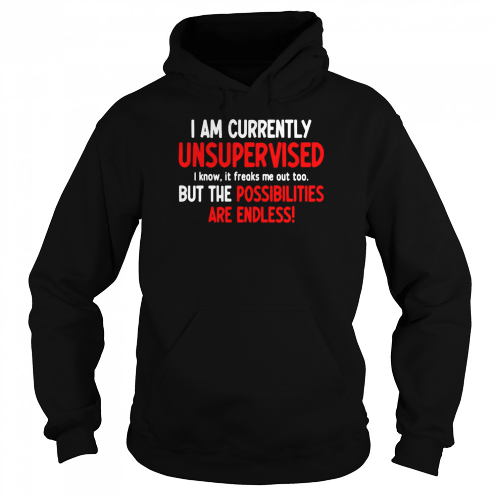 I Am Currently Unsupervised I Know It Freaks Me Out Too But The Possibilities Are Endless Unisex Hoodie