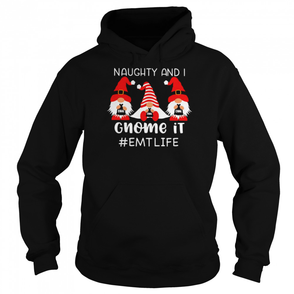 Naughty And I Gnome It EMT Life Christmas Sweater  Unisex Hoodie
