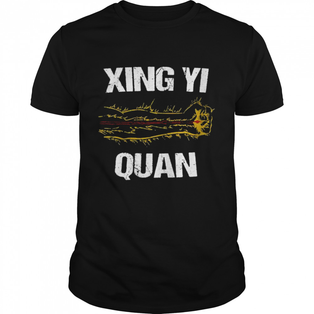 XingYi QiGong Energy Internal Martial Arts Xing Yi Training  Classic Men's T-shirt